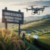Petani menggunakan tablet di area persawahan sambil memantau lahan dengan bantuan drone sebagai bagian dari penerapan teknologi pertanian modern dan smart farming.