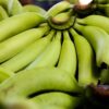 Petani Lumajang atur air saat musim kemarau